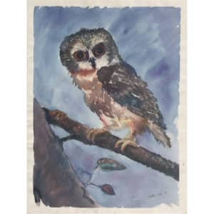 baby-owl-watercolor