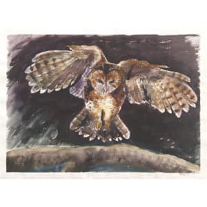 owl-watercolor